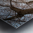 Steel girder bridge carries the bike walking trail over Deckers  Metal print