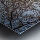 Steel girder bridge carries the bike walking trail over Deckers  Metal print