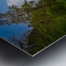 Springtime at Fountains Abbey ruins in Yorkshire England Metal print