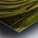 Cellarium under Fountains Abbey ruins in Yorkshire England Metal print