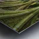 Cellarium at Fountains Abbey ruins in Yorkshire England Metal print