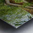 Painted green door and porch in walled garden wall Metal print