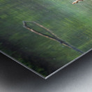 Group of ducklings washing in lake at dusk Metal print