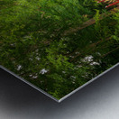 Crim Dell bridge at William and Mary college Metal print