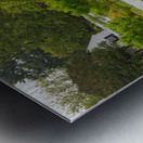 Sheep grazing in meadow in Williamsburg Virginia Metal print