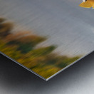 Mandarin duck floats on Ellesmere Mere to a clear reflection of  Metal print