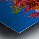 Impressionistic painting of rainbow shower tree blossoms Metal print