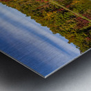 Fall leaves and metal pier in Coopers Rock State Forest in WV Impression metal