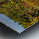 Fall leaves and metal pier in Coopers Rock State Forest in WV Metal print