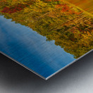 Fall leaves and metal pier in Coopers Rock State Forest in WV Metal print