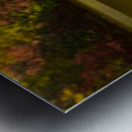 Detail of rusty metal pipe with fall leaves in Coopers Rock in W Impression metal