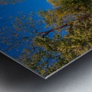 Mark Twain memorial lighthouse in Hannibal Missouri Impression metal