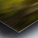 Great blue heron standing in calm water in Atchafalaya basin Metal print