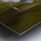 Great blue heron taking off from calm water in Atchafalaya basin Metal print