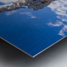 Monument to the Immigrant sculpture in New Orleans Metal print