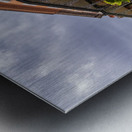 Traditional wrought iron balcony on ochre New Orleans house Metal print