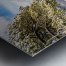 Coopers Rock overlook covered in winter snow near Morgantown Metal print