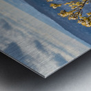 Eastern White Pine covered with snow at Coopers Rock Metal print