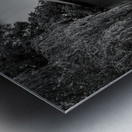 Dents Run Covered bridge near Morgantown WV in monochrome Metal print