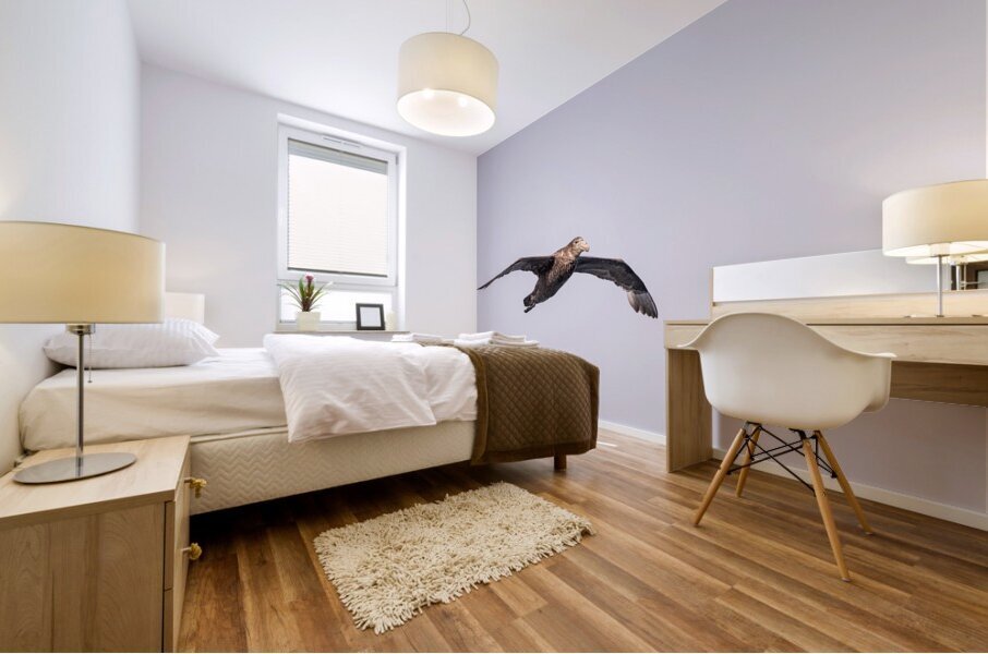 Southern giant petrel flying alongside cruise ship in South Atla Mural print