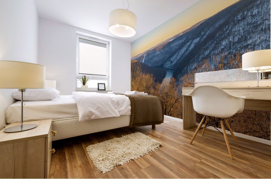 Cheat River Canyon at Coopers Rock on winter afternoon Mural print