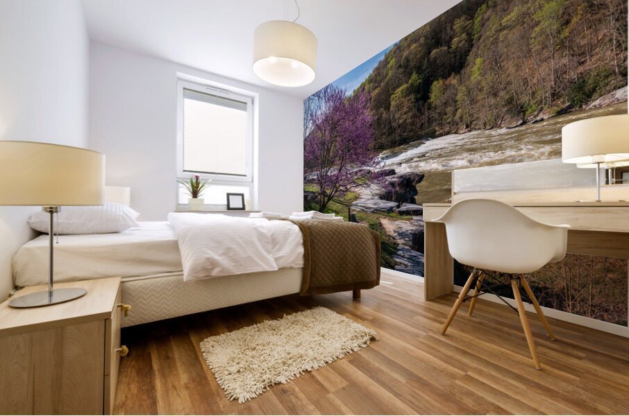 Bench view of Valley Falls on a bright spring morning Mural print