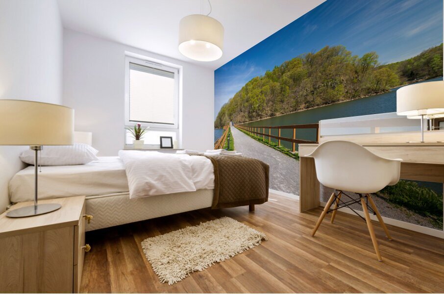 Pathway to spring leaves in Cheat Lake Morgantown WV Impression murale