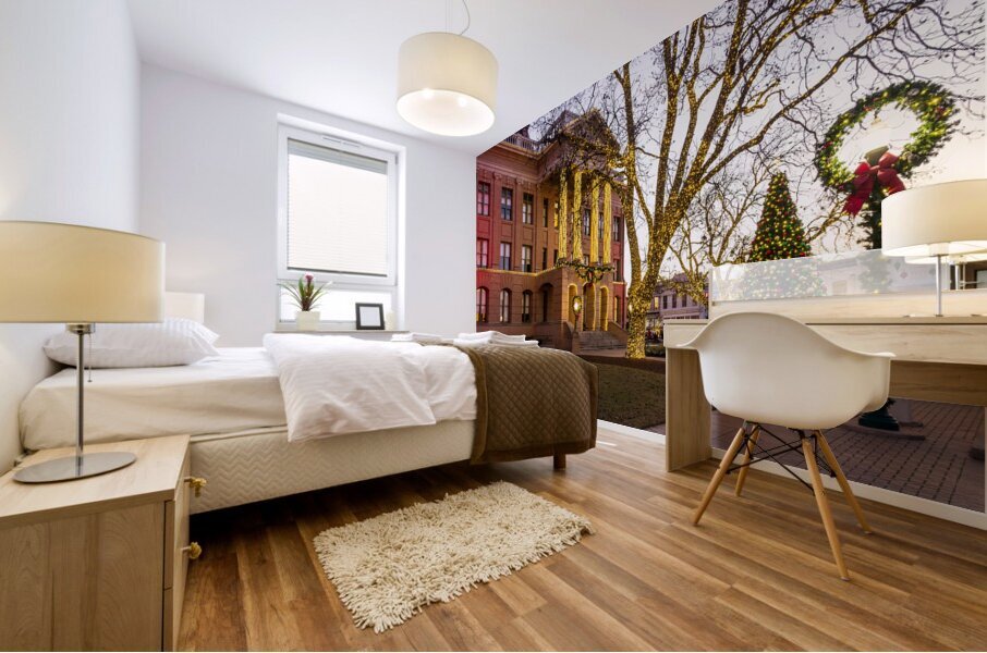 Entrance to Williamson County Courthouse in Georgetown TX Mural print