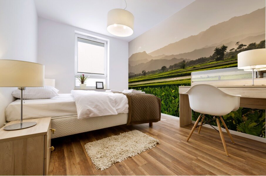 Verdant taro fields thrive under the Hawaiian sun near Hanalei B Mural print