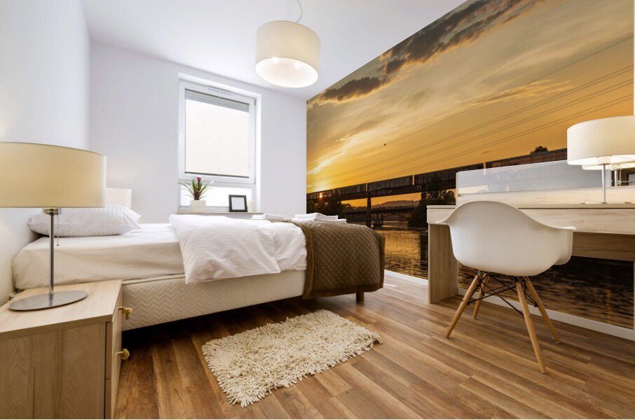 Freight train on the railroad bridge in Austin at sunset Mural print