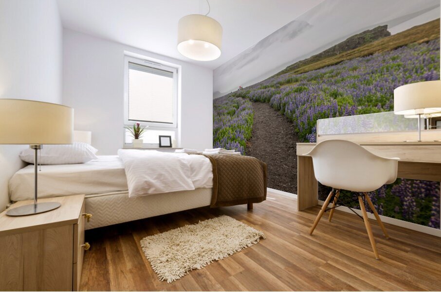 Path from the bird watching cliffs at Skalanes Nature Center Mural print