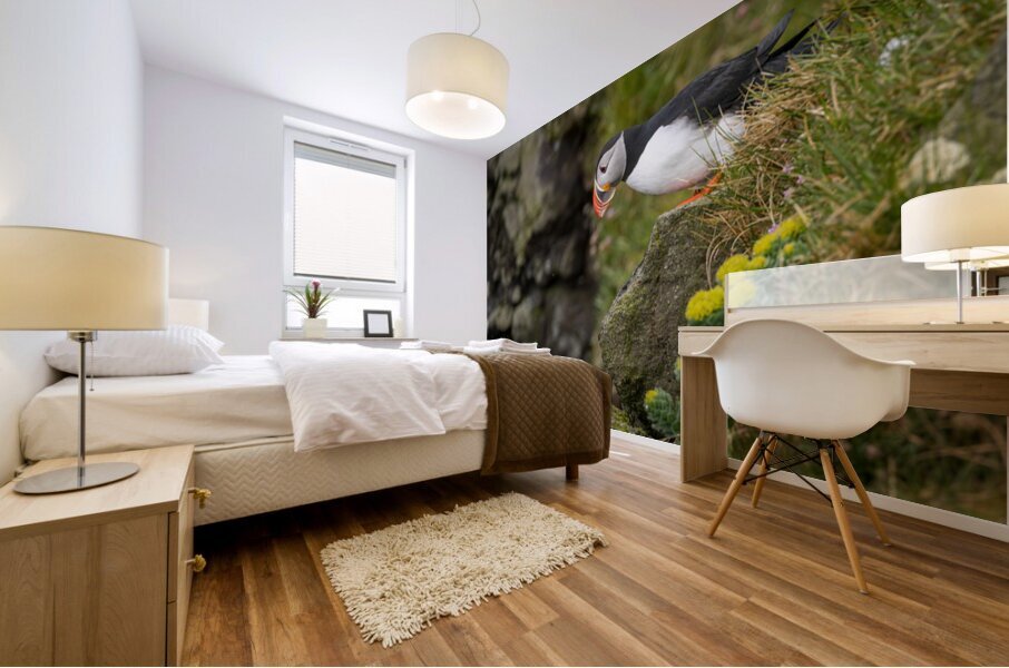 Single puffin on the cliffs in the Skalanes Nature and Heritage  Mural print