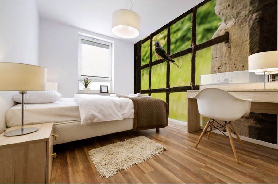 Barn swallow perched on the bars of window of 13th Century forti Mural print