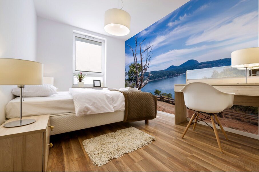 View from the Washington Park overlook over the town of Anacorte Mural print