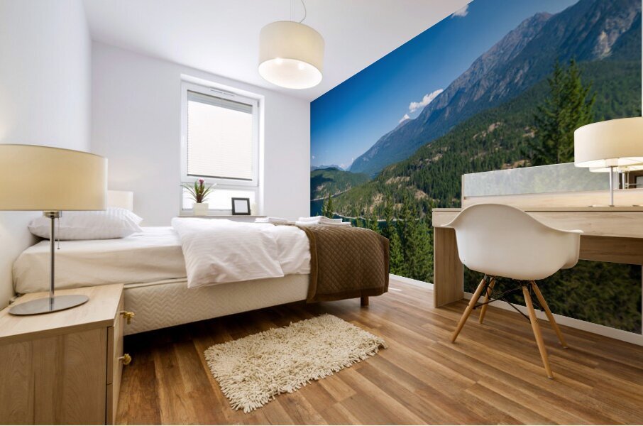 Panoramic view of Ross Lake in the North Cascades National Park  Mural print