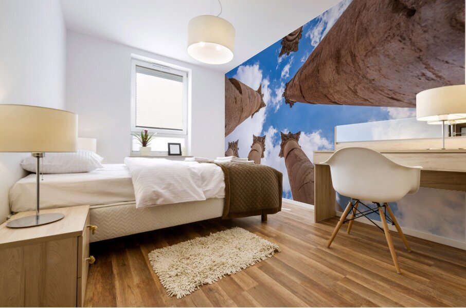 Columns of Artemis at Jerash a Greco Roman well preserved city  Impression murale