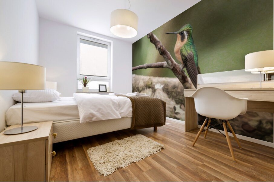 White throated mountaingem hummingbird perched on a twig  in Cos Mural print