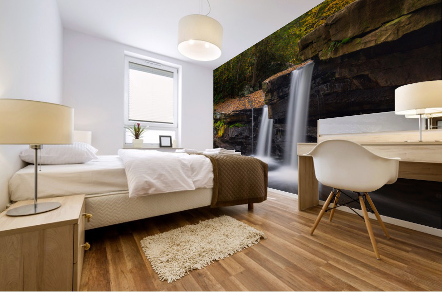 Waterfall on Deckers Creek near Morgantown WV Impression murale