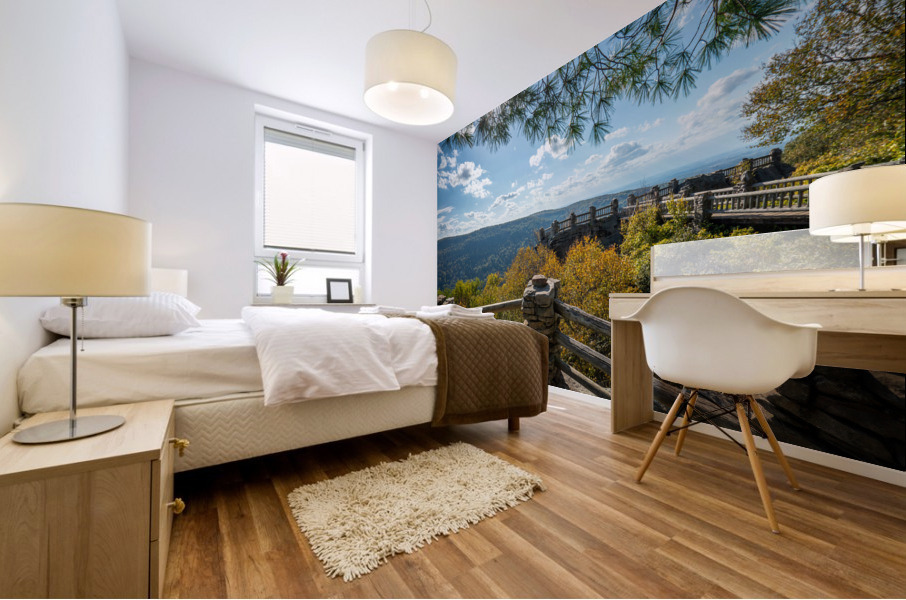 Coopers Rock state park overlook Impression murale