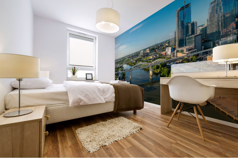 Aerial view of John Seigenthaler pedestrian bridge in Nashville Mural print