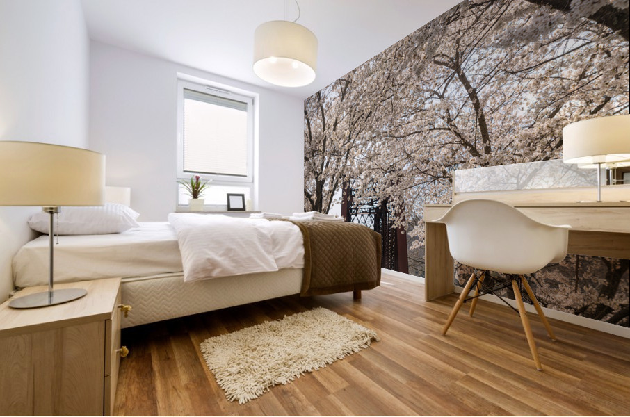 Blossoms by the steel girder bridge carries the bike walking trail Impression murale