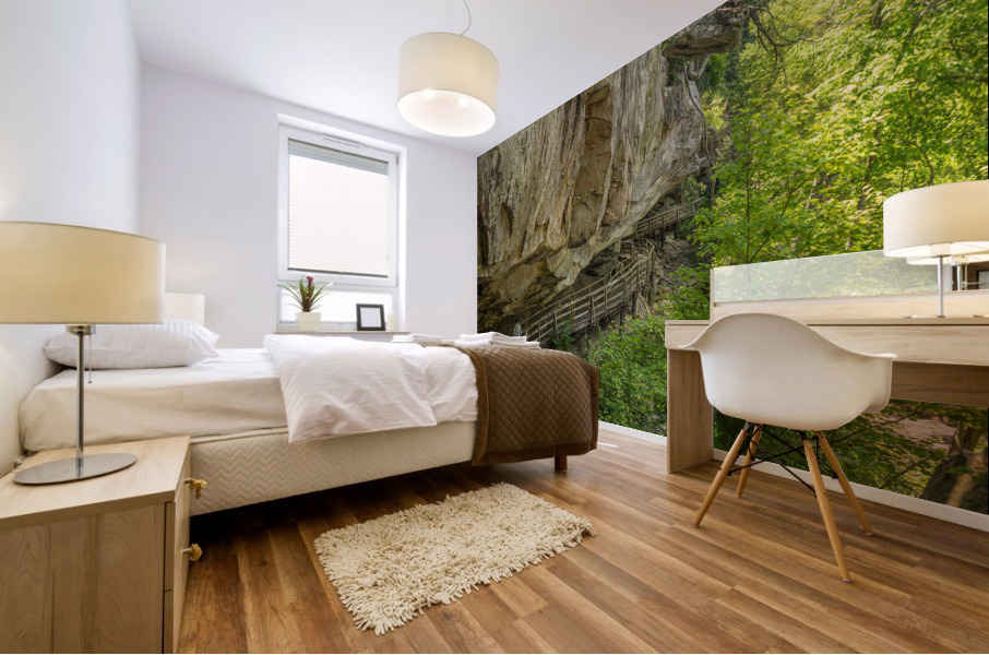 Boardwalk in Audra State Park near Buckhannon in West Virginia Impression murale