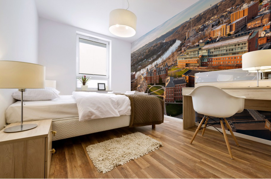 Aerial panorama of the Woodburn Circle at the university  Mural print