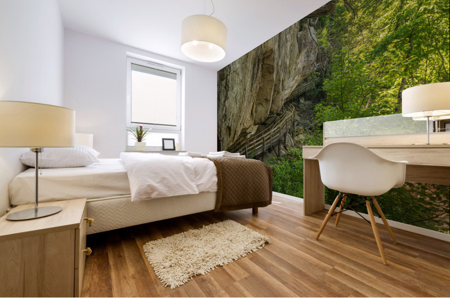 Pathway in Audra State Park near Buckhannon in West Virginia Mural print