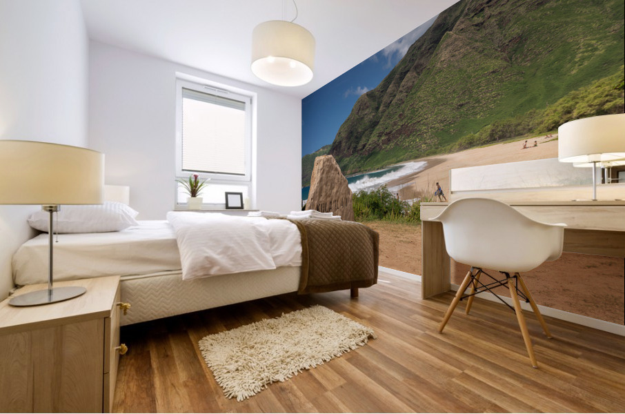 Winter waves crash on the shore at Kulailai beach on Oahu Impression murale