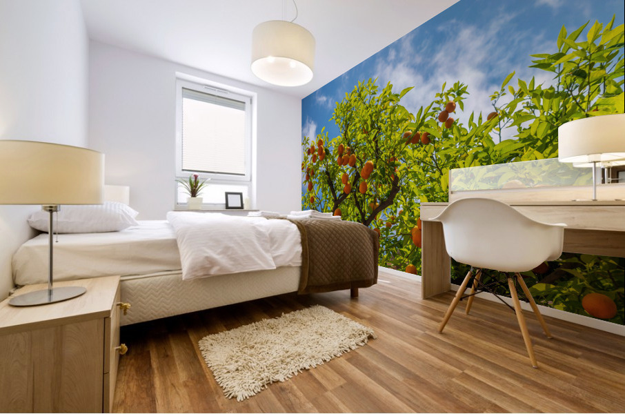 Oranges growing in courtyard of monastery Impression murale