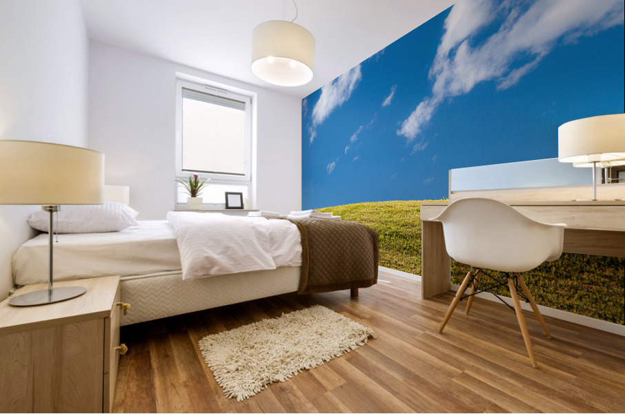 Green grassy lawn with blue sky and clouds Impression murale