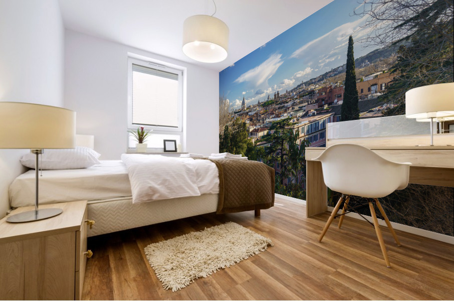 Skyline of the city of Rome Italy Mural print