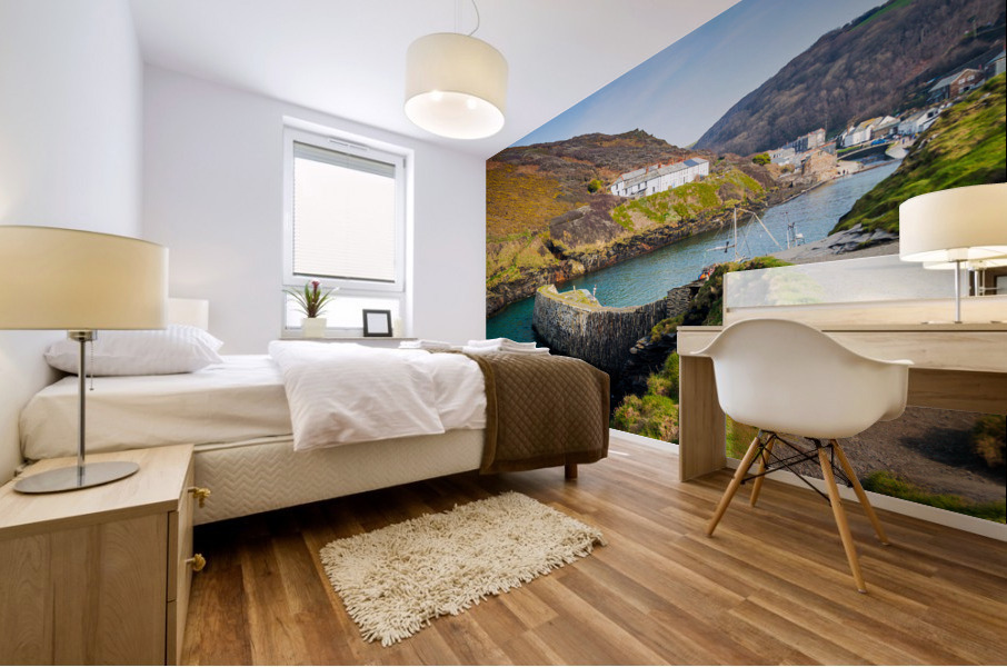 Narrow path in front of colorful harbor in Boscastle Mural print