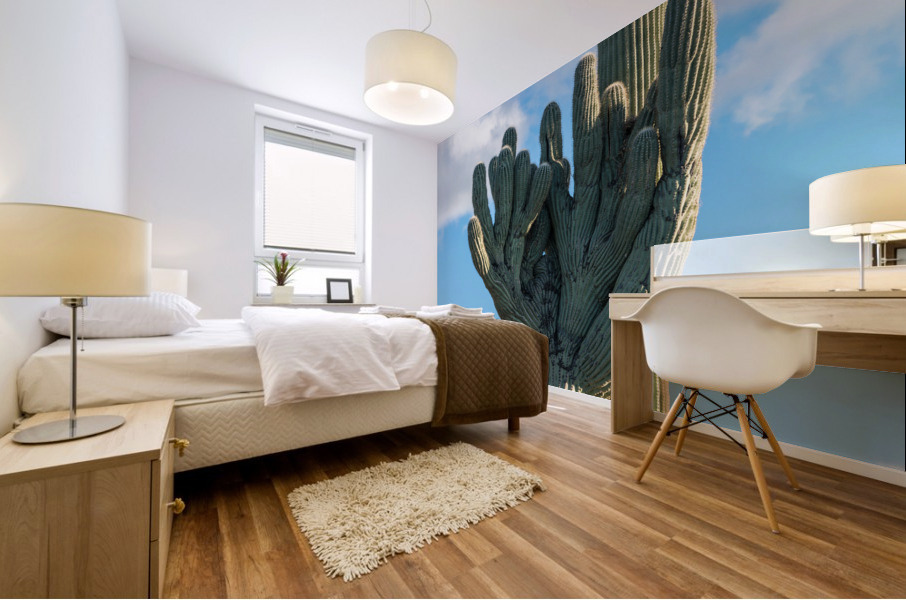 Crested Saguaro in National Park West Mural print